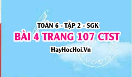 Giải bài 4 trang 107 Toán 6 Tập 2 Chân trời sáng tạo